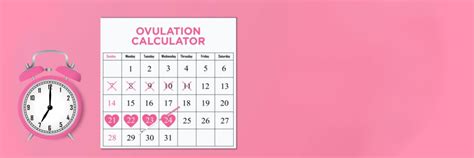 Last Menstrual Period Calculation